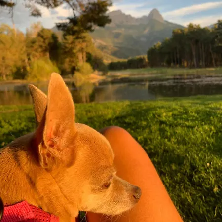 Petit 40 M2 En Ubaye 샬레 바르셀로넷트